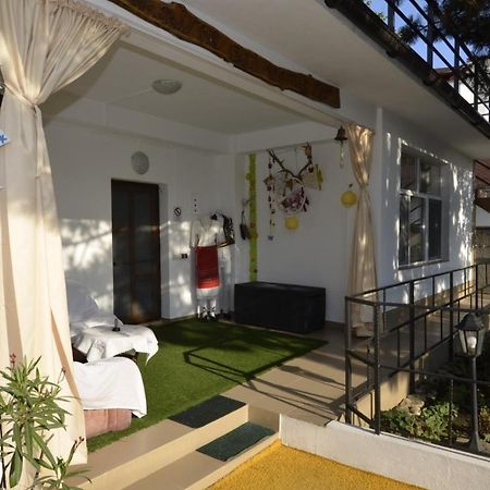 Vila Calypso Apartment Костинещи Екстериор снимка
